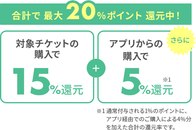 100枚限定！】ピコレーザートーニング（2回）9,800円が最大20